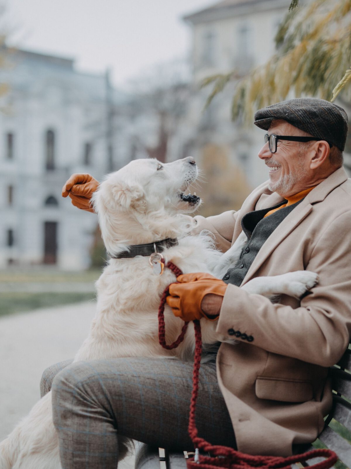 Man on bench with dog